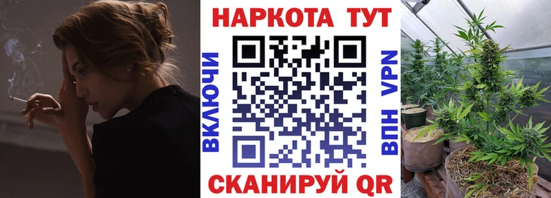 Где найти наркотики Шуя COCAIN  Меф  Кетамин  A-PVP  МАРИХУАНА  Гашиш 