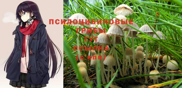 первитин Алексеевка