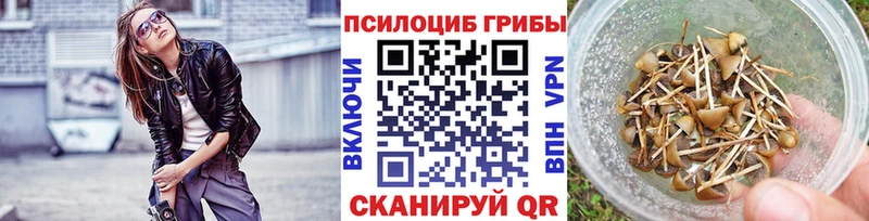 ссылка на мегу вход Шуя Галлюциногенные грибы Magic Shrooms