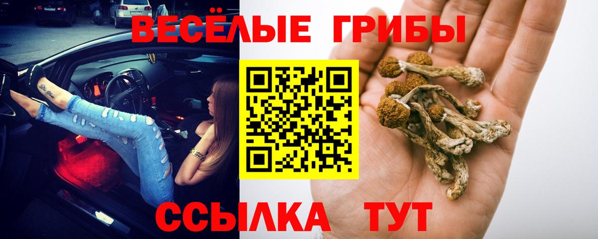 Шуя  Псилоцибиновые грибы Cubensis  Галлюциногенные грибы Magic Shrooms  Вход с VPN 